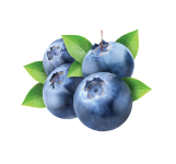 Blueberry